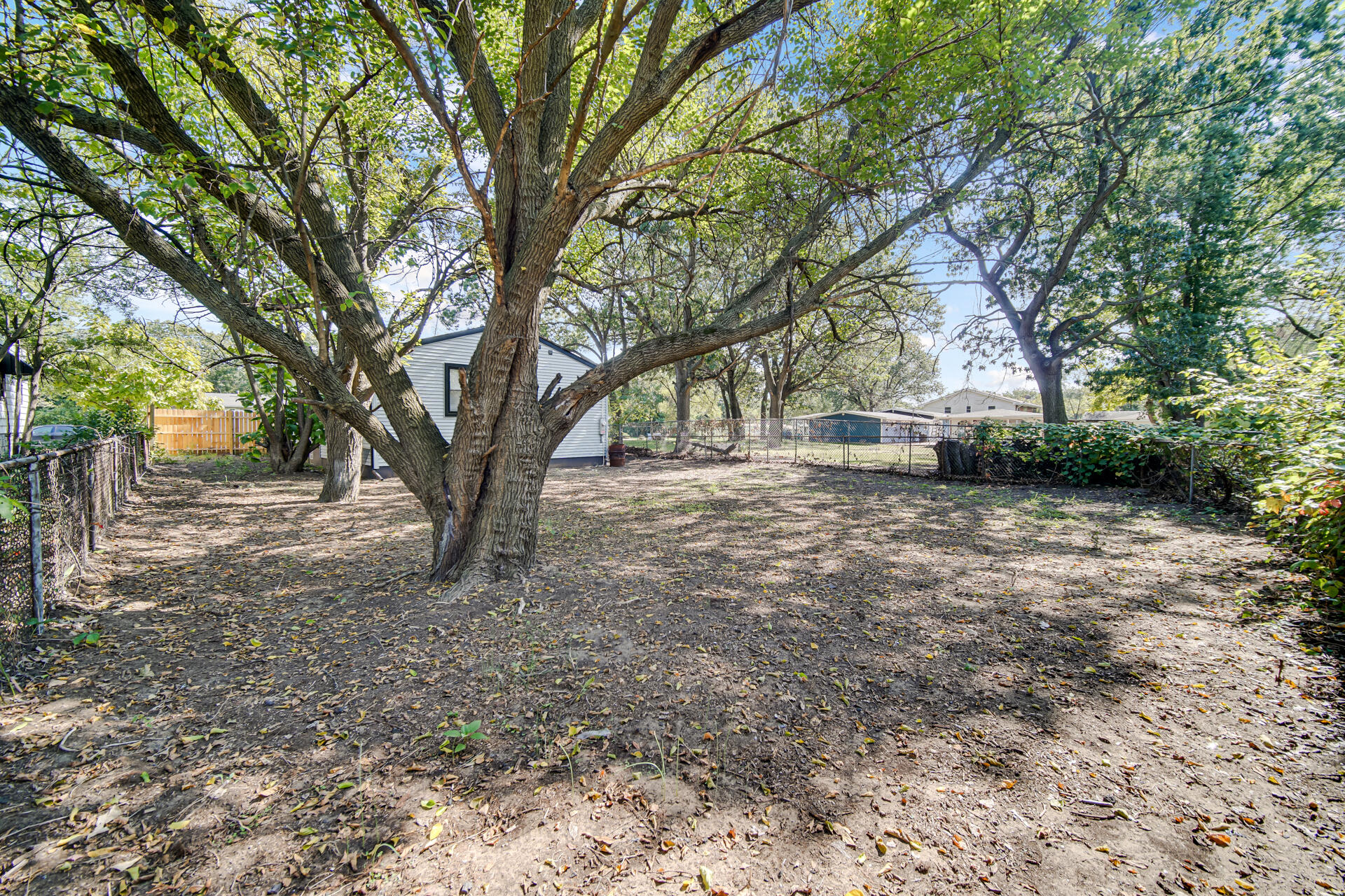 2232 Roosevelt Place Gary, IN 46404 - Photo 19 of 21 a view of a yard with plants and trees