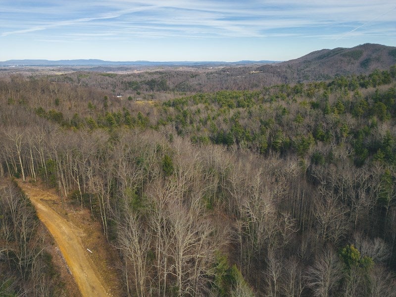 Tbd Tbd Little Irish Road Hiwassee, VA 24347 - Photo 5 of 11 Gallery Image 5