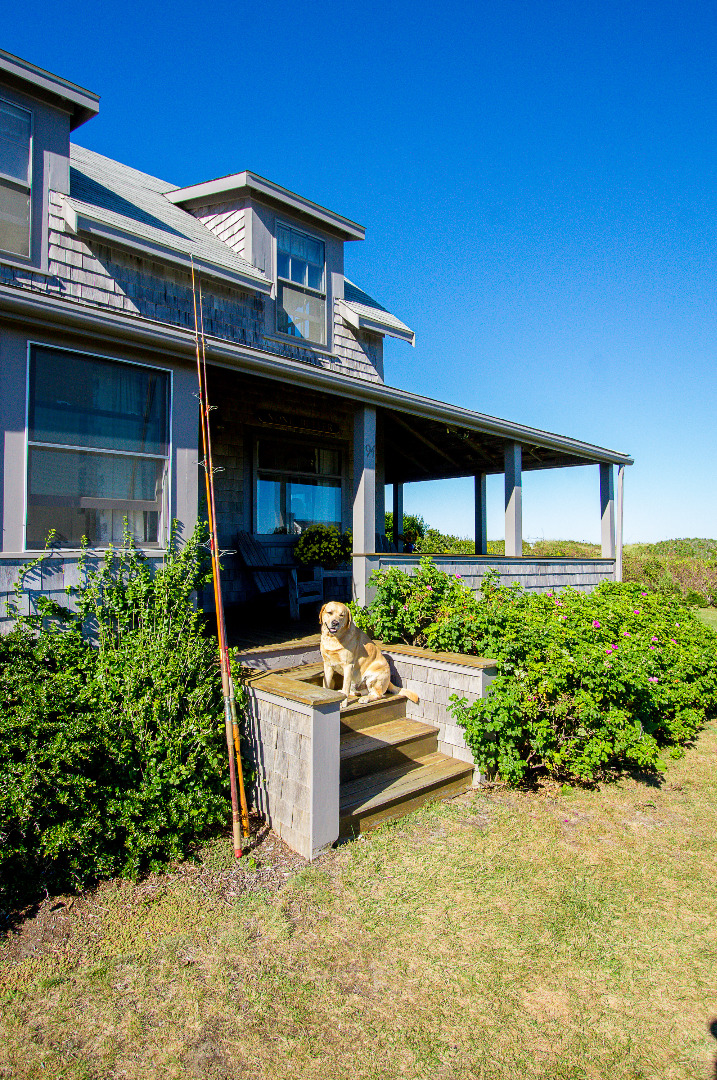 94 Quidnet Road Nantucket, MA 02554 - Photo 36 of 58 Gallery Image 36