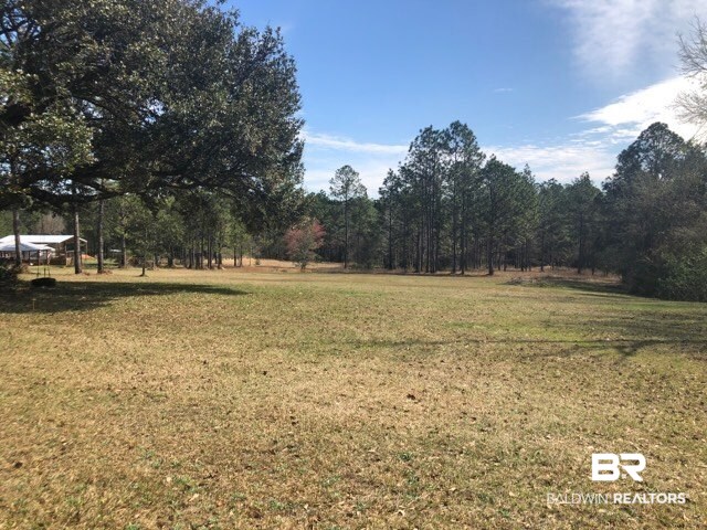 42550 J W Davidson Road Bay Minette, AL 36507 - Photo 18 of 18 Back Yard