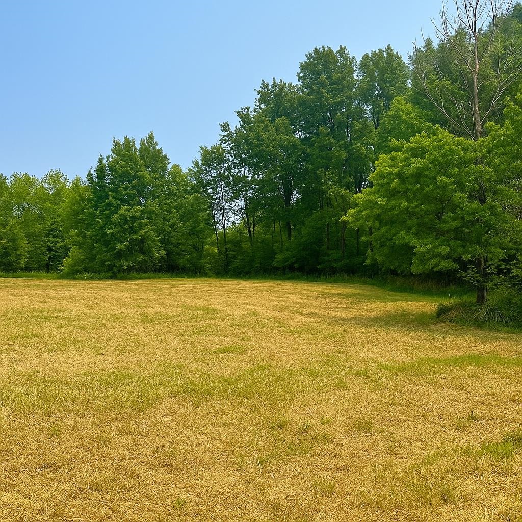 5344 Markusen Road Cromwell, MN 55726 - Photo 11 of 15 Gallery Image 11