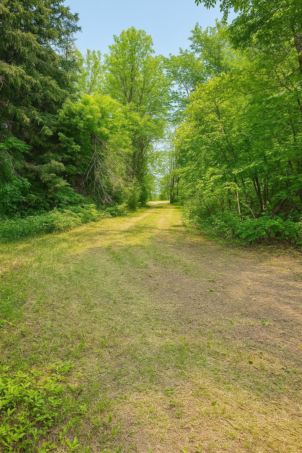 5344 Markusen Road Cromwell, MN 55726 - Photo 12 of 15 Gallery Image 12