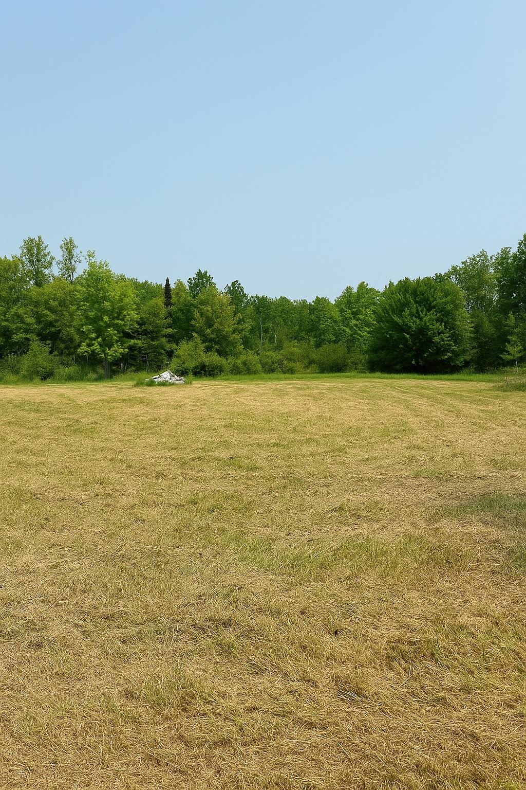 5344 Markusen Road Cromwell, MN 55726 - Photo 10 of 15 Gallery Image 10