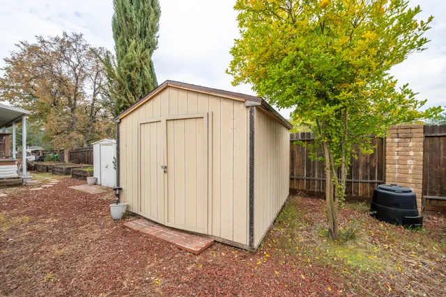a view of backyard with a barn and a cactus plant