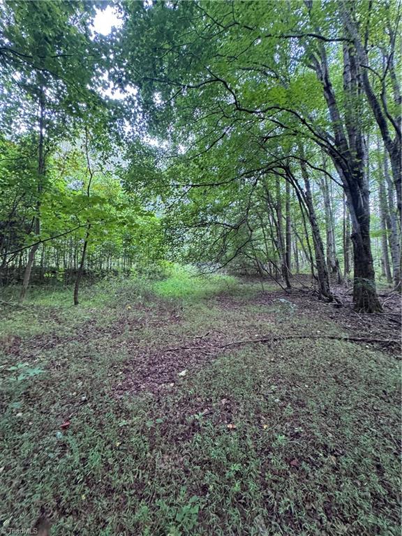 0 Johnson Road King, NC 27021 - Photo 7 of 14 Gallery Image 7