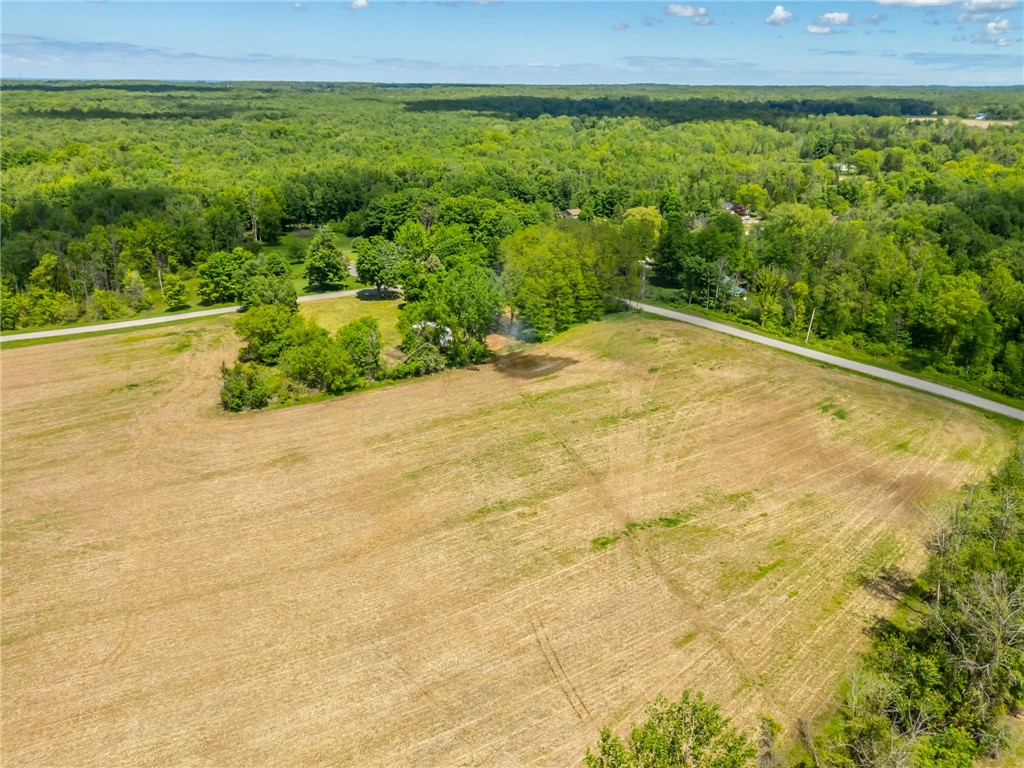 17156 Ladue Road Clarendon, NY 14470 - Photo 40 of 41