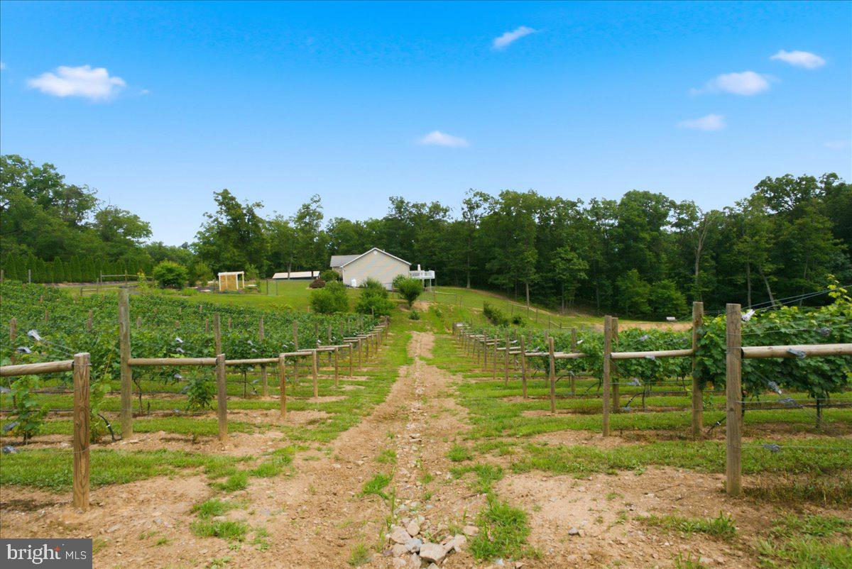 1309 Redland Road Cross Junction, VA 22625 - Photo 78 of 119