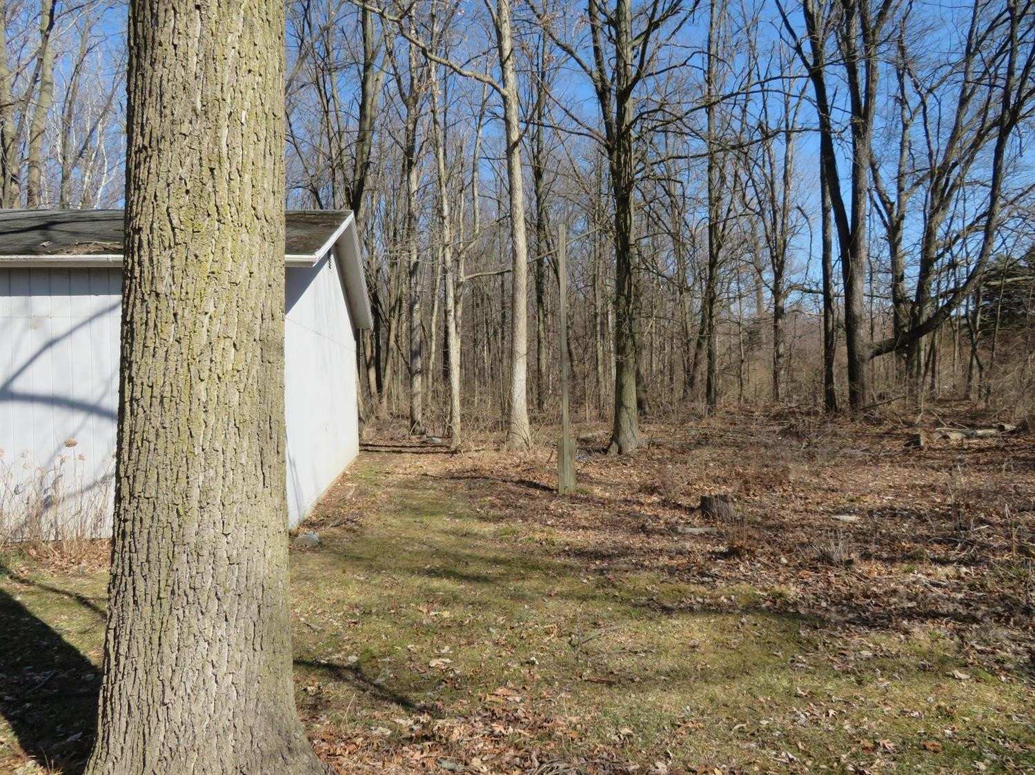 1303 Meanwell Road Dundee, MI 48131 - Photo 14 of 20 Photo 14