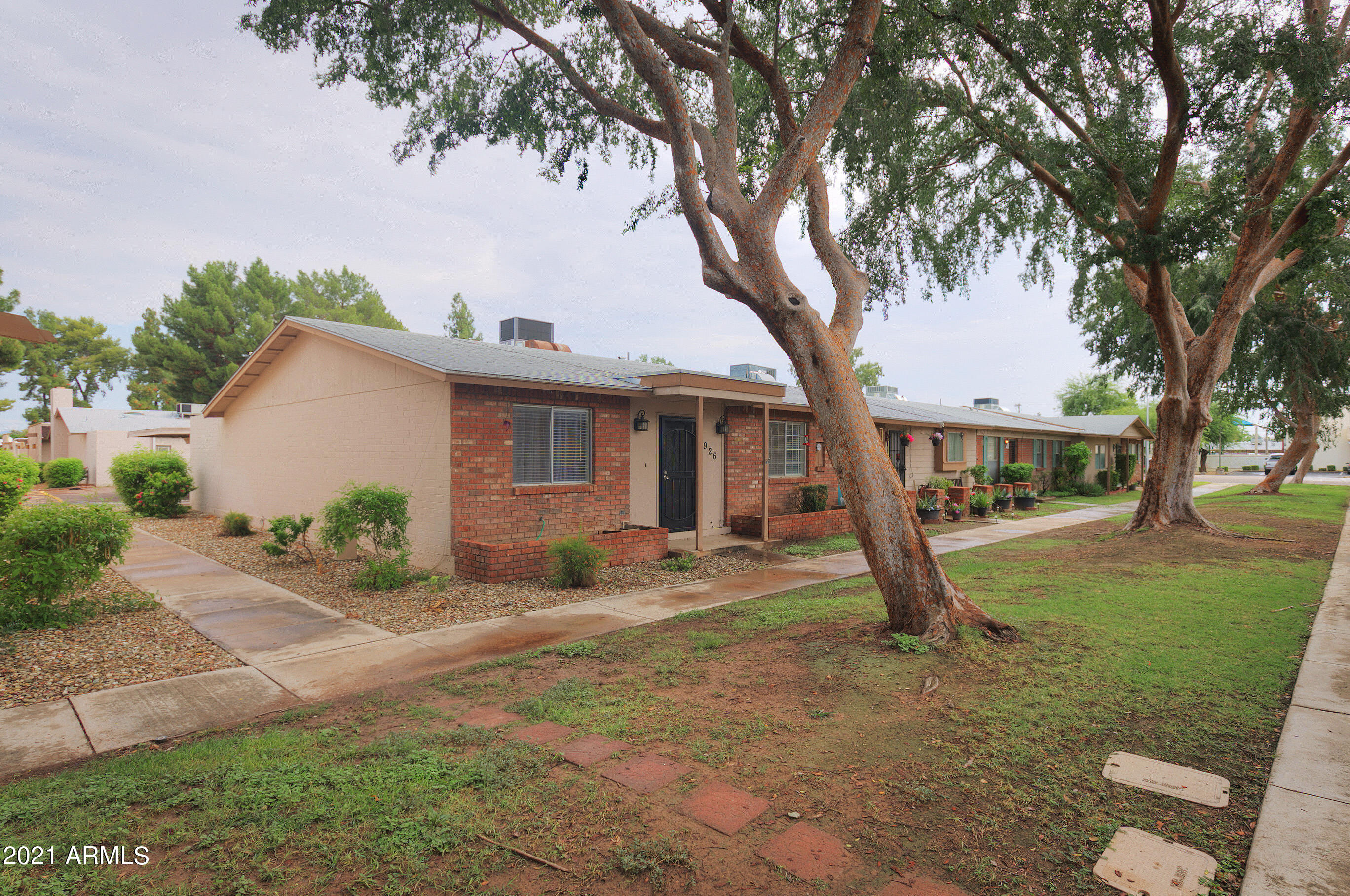 926 North Date Mesa, AZ 85201 - Photo 3 of 24 a view of a yard in front of a house with a large tree
