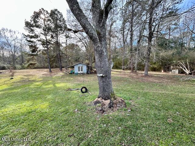 1119 Willis Cotton Road Summit, MS 39666 - Photo 28 of 29 IMG_2625
