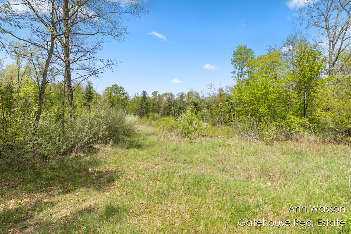 20564 1 Mile Road Morley, MI 49336 - Photo 26 of 32 IMG_1032