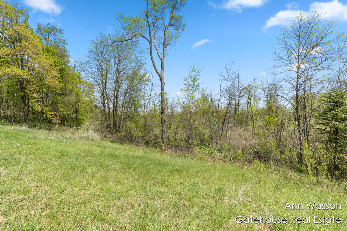 20564 1 Mile Road Morley, MI 49336 - Photo 30 of 32 IMG_1036