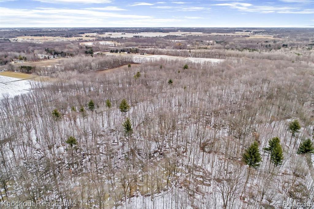 6200 Blackmar Road Bridgeport, MI 48722 - Photo 4 of 19 Gallery Image 4