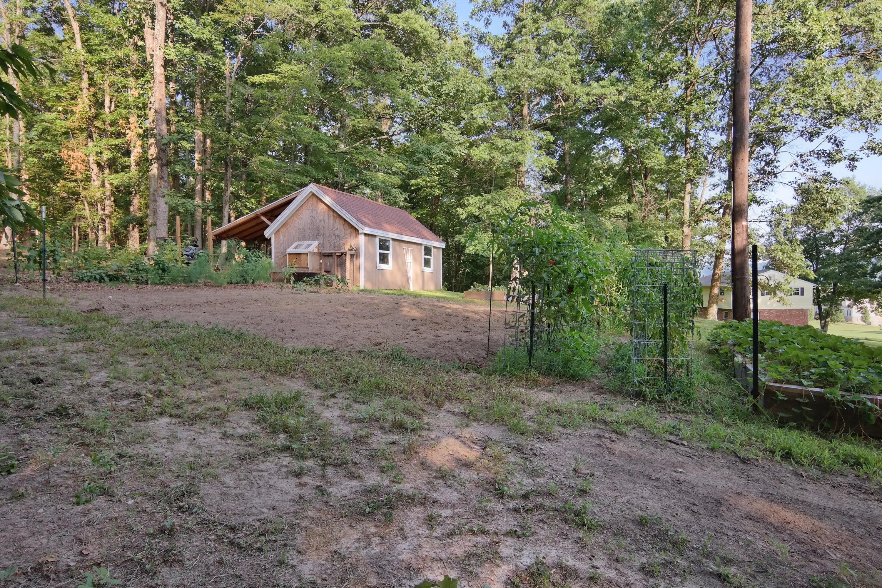2144 Blue Ridge Springs Road Blue Ridge, VA 24064 - Photo 5 of 35 a house with tall trees in the background