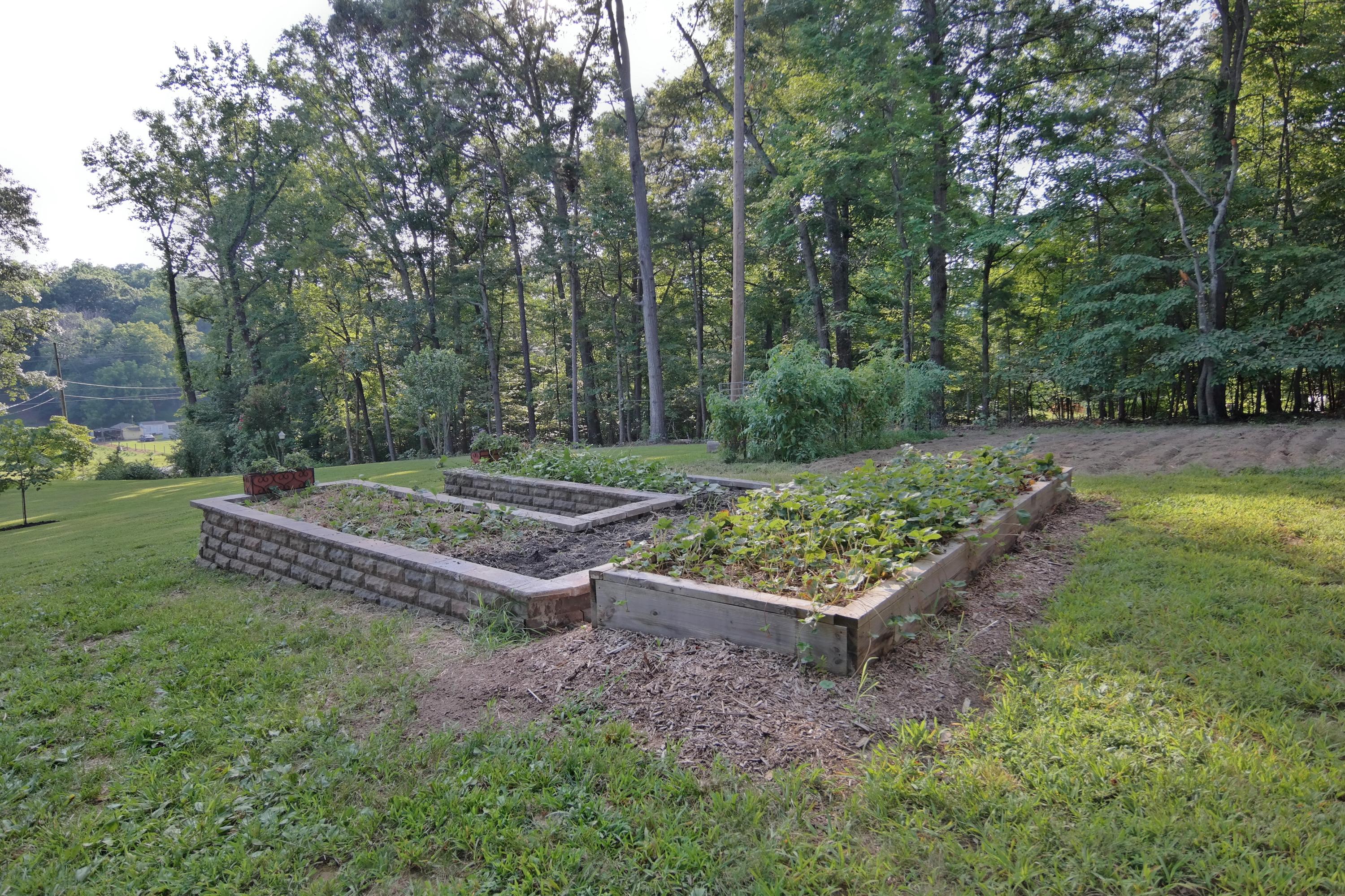 2144 Blue Ridge Springs Road Blue Ridge, VA 24064 - Photo 10 of 35 a view of a park with a bench