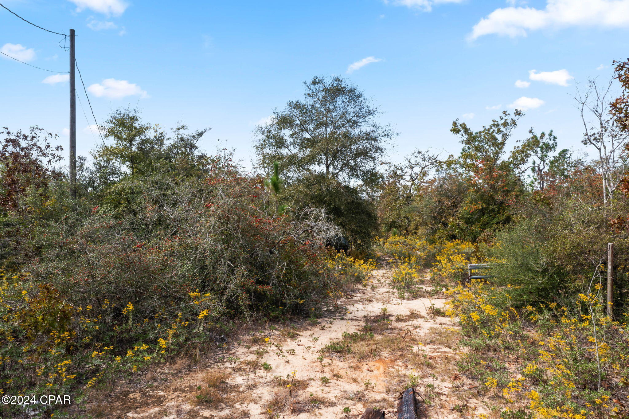 0 Powerline Road Chipley, FL 32428 - Photo 3 of 9