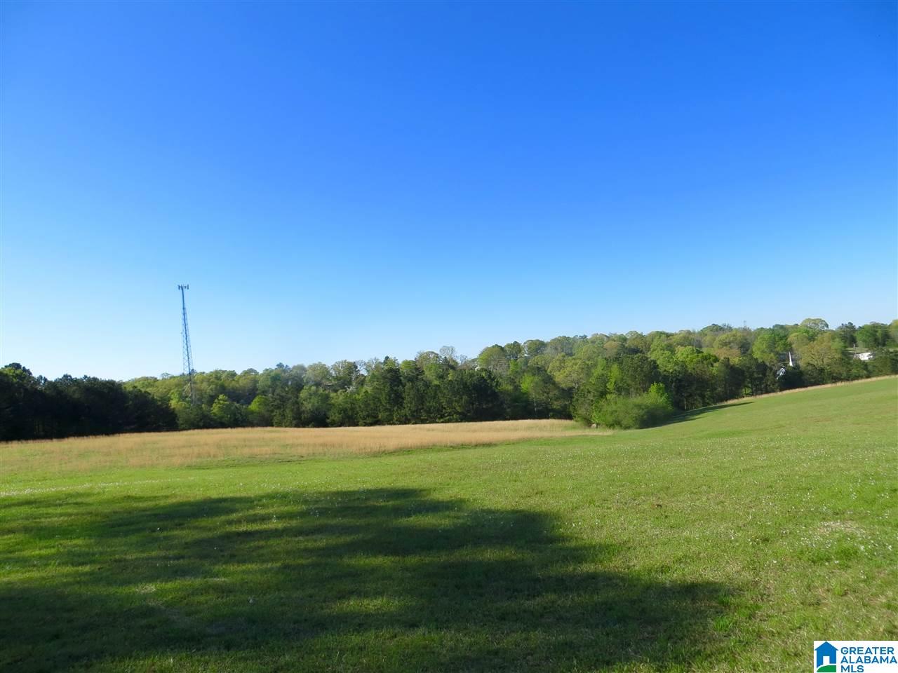 0 Eureka Road, Unit 7 Lincoln, AL 35096 - Photo 21 of 34
