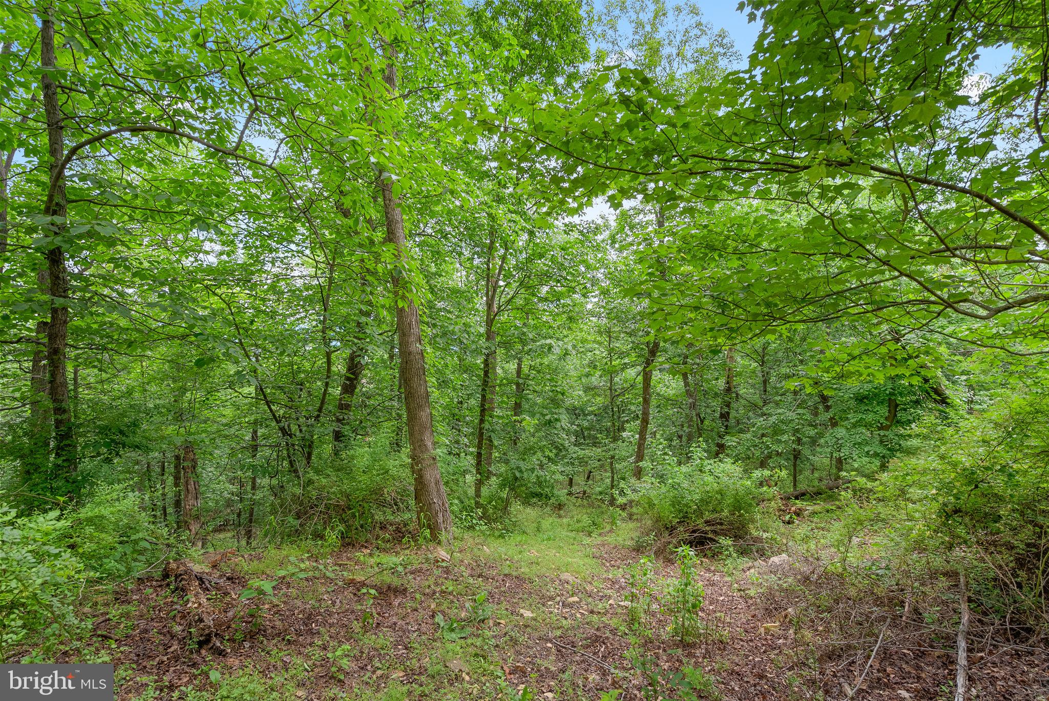 2617 Lookout Road Haymarket, VA 20169 - Photo 1 of 13 Gallery Image 1