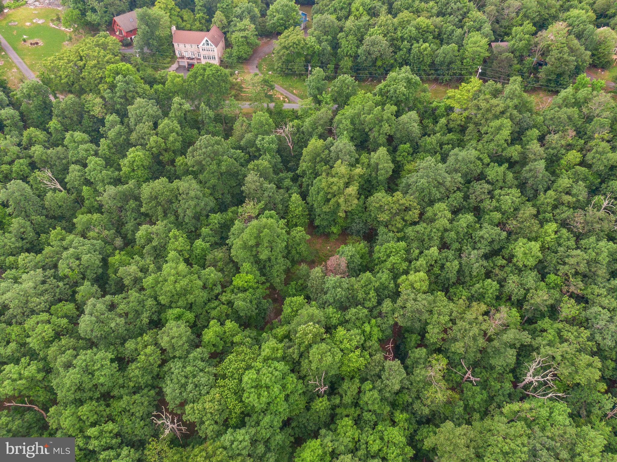2617 Lookout Road Haymarket, VA 20169 - Photo 11 of 13 Gallery Image 11