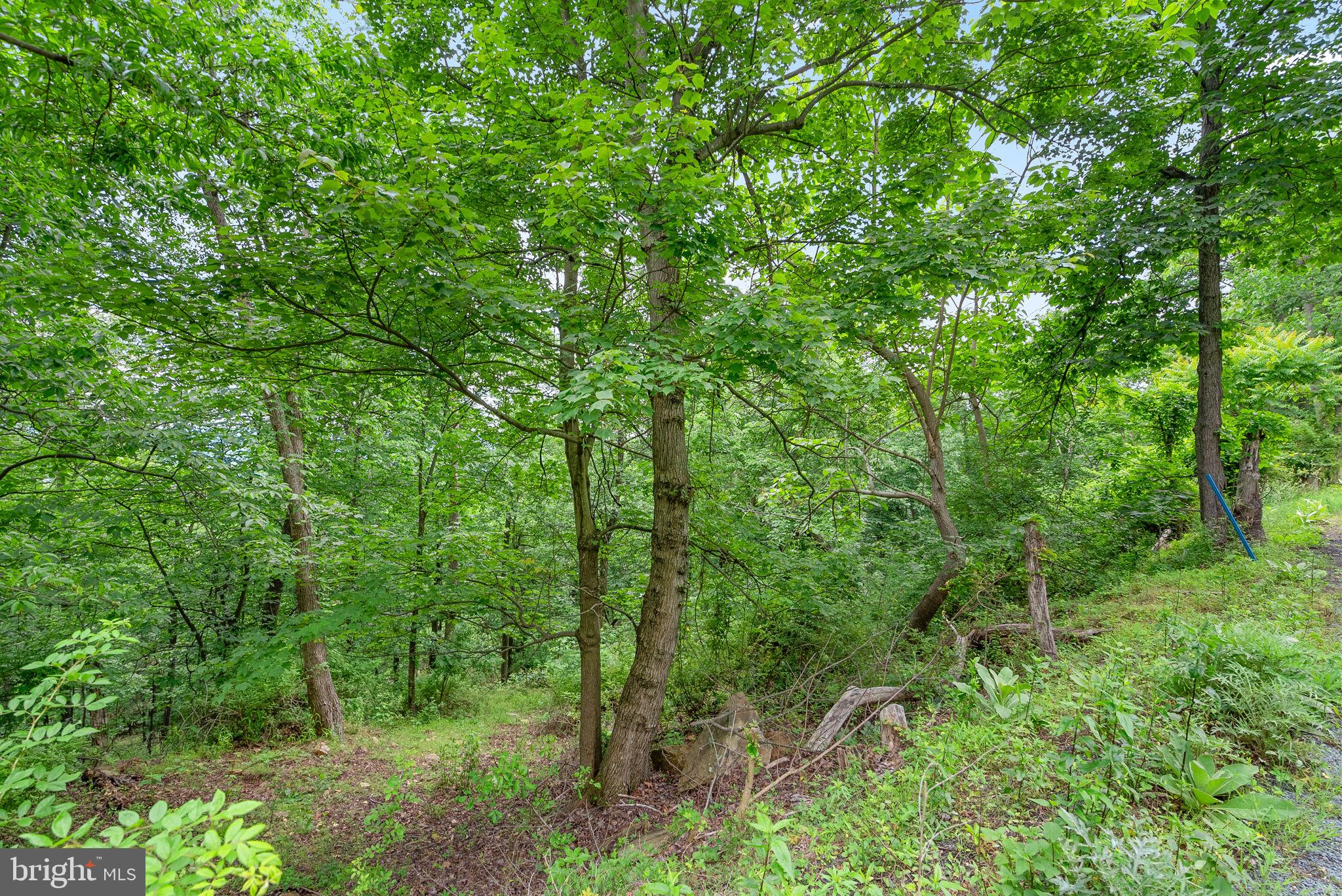 2617 Lookout Road Haymarket, VA 20169 - Photo 12 of 13 Gallery Image 12
