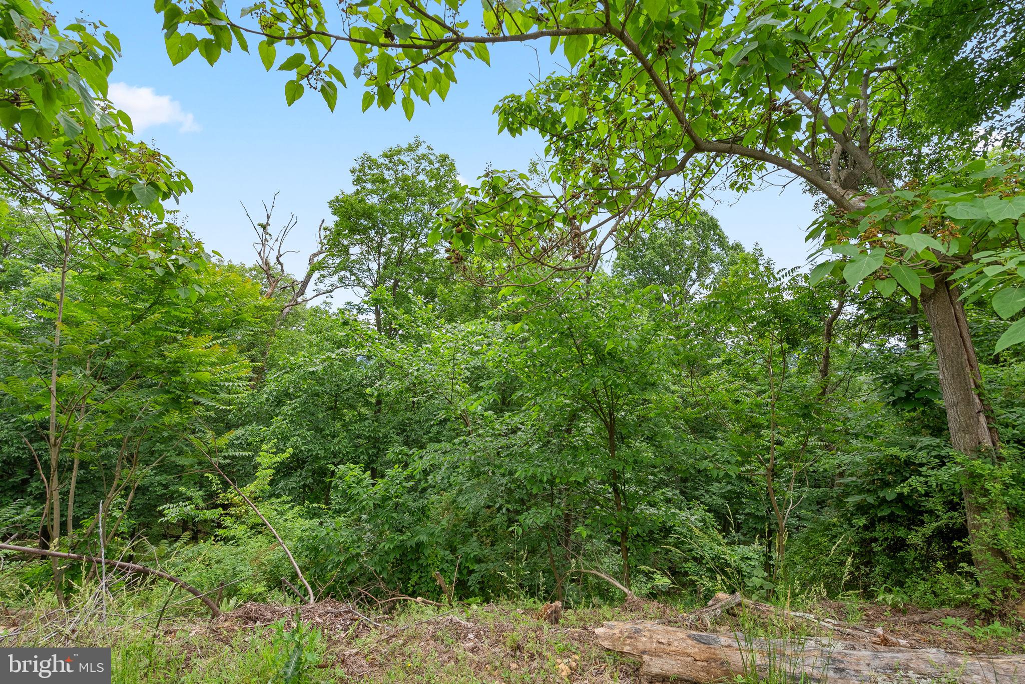 2617 Lookout Road Haymarket, VA 20169 - Photo 2 of 13 Gallery Image 2