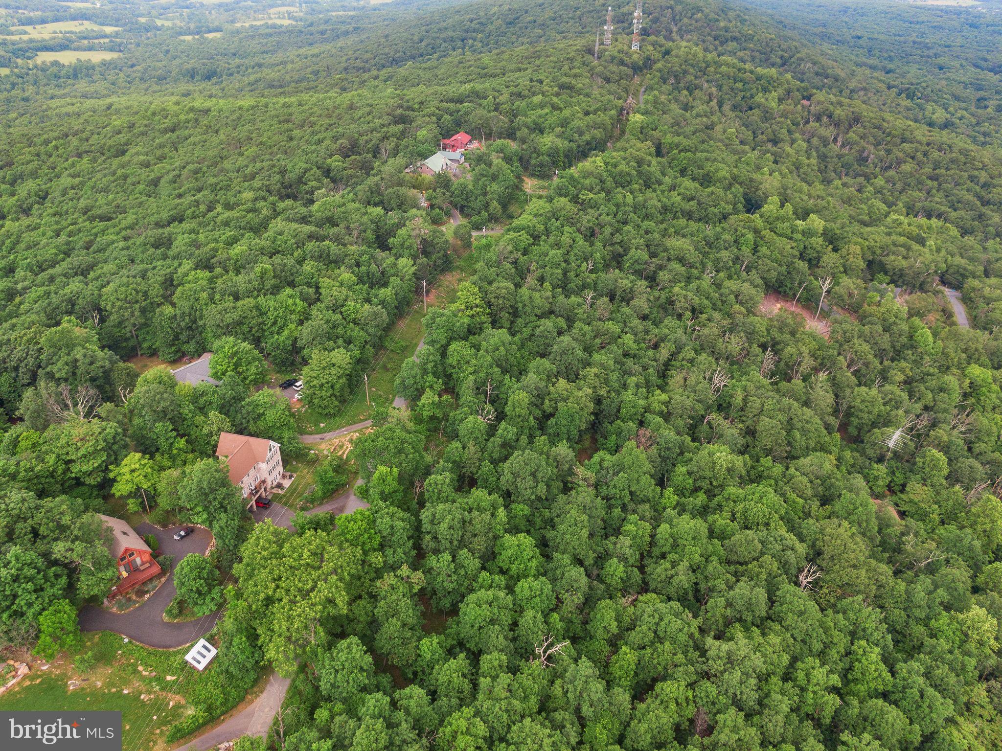 2617 Lookout Road Haymarket, VA 20169 - Photo 9 of 13 Gallery Image 9
