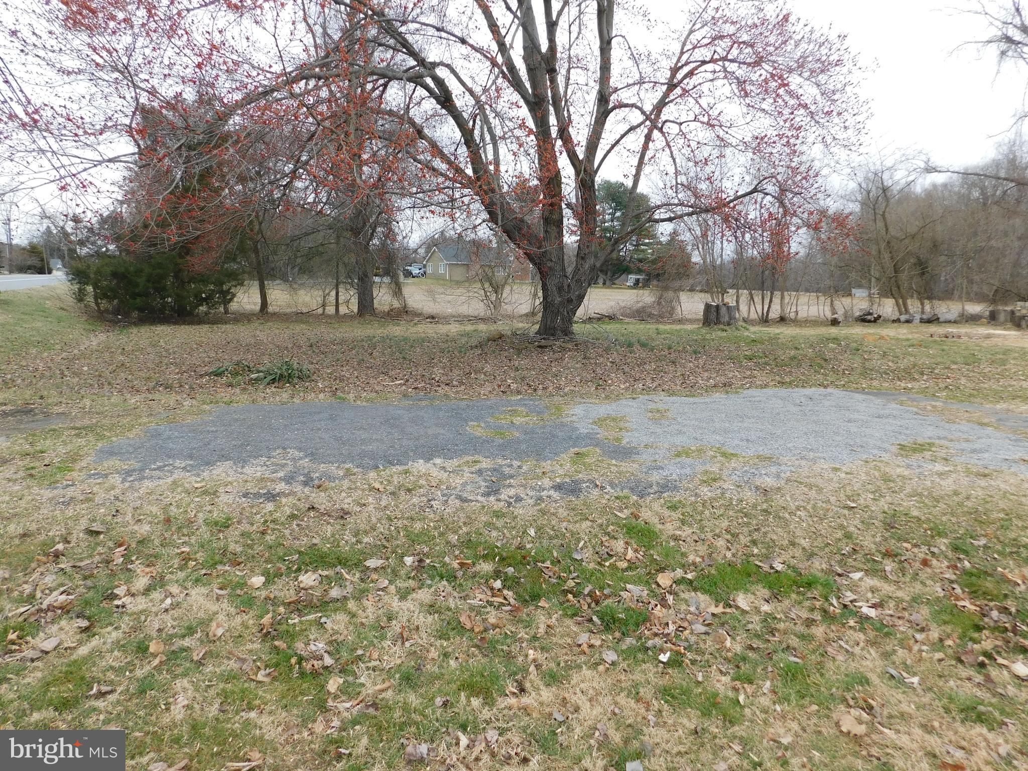 3827 Conowingo Road Darlington, MD 21034 - Photo 3 of 6 View of Lot