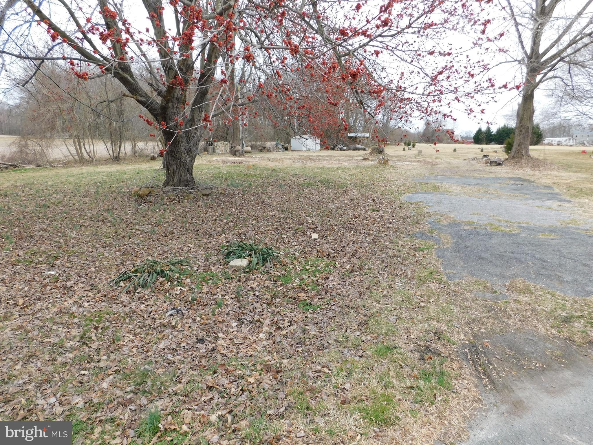 3827 Conowingo Road Darlington, MD 21034 - Photo 4 of 6 View of Lot and Driveway