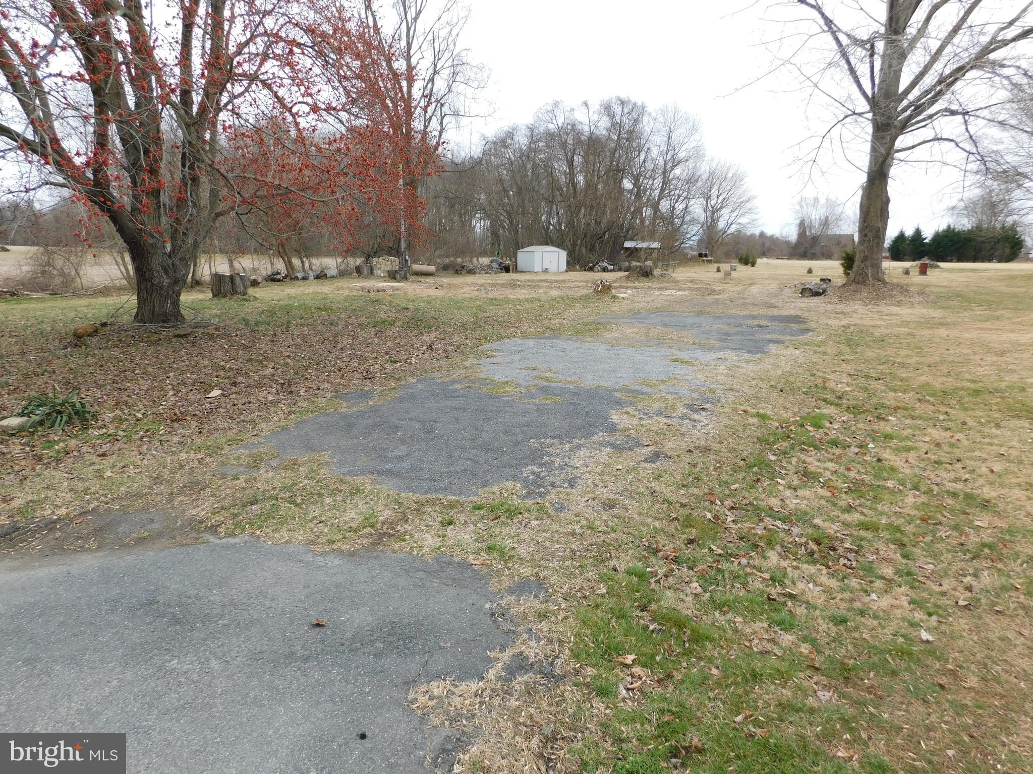 3827 Conowingo Road Darlington, MD 21034 - Photo 5 of 6 View of Lot and Driveway