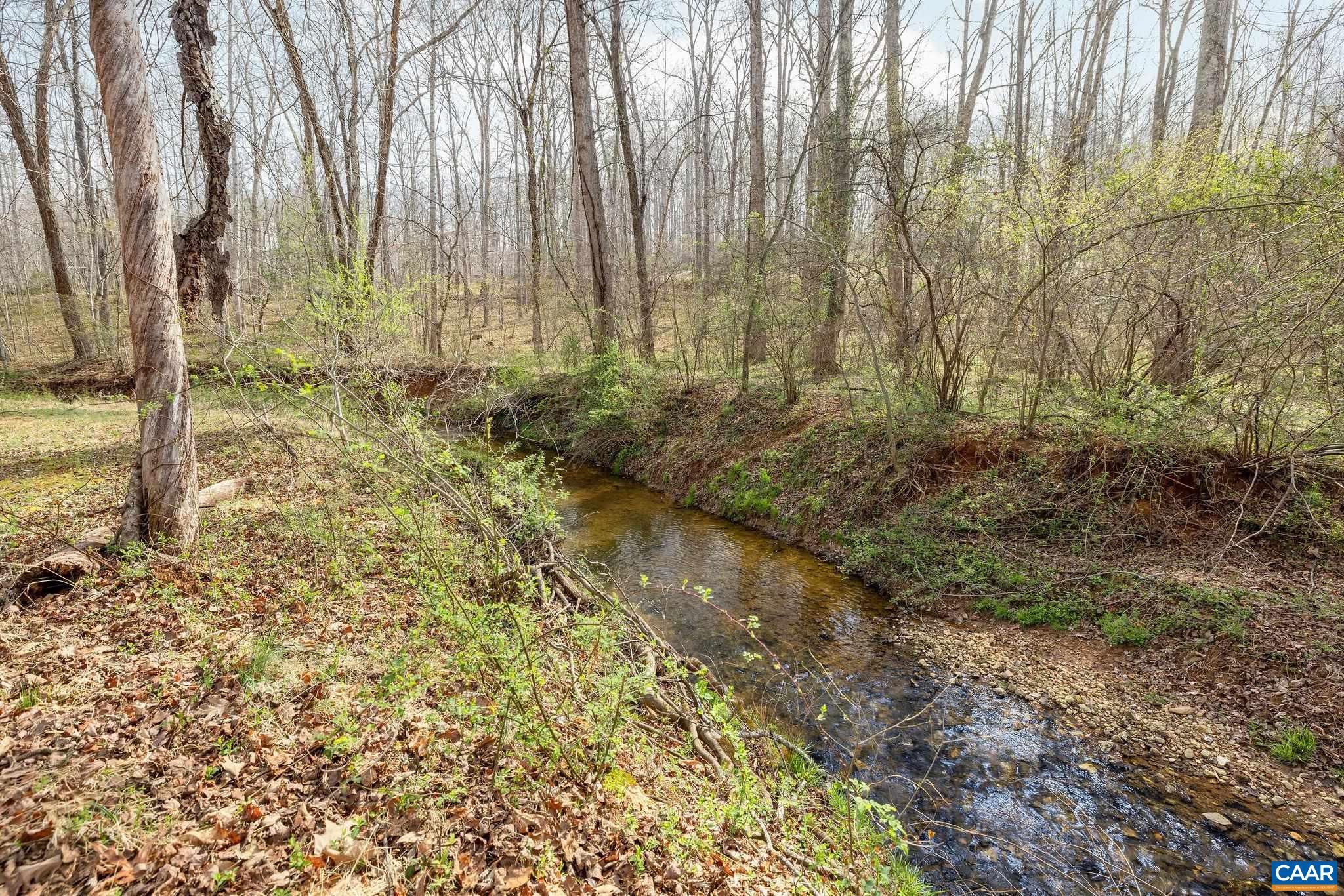 462 Fox Hunters Lane Madison, VA 22727 - Photo 7 of 65 a view of backyard with green space
