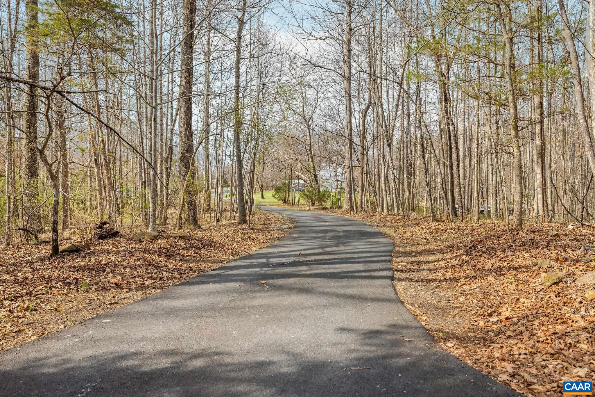 462 Fox Hunters Lane Madison, VA 22727 - Photo 8 of 65