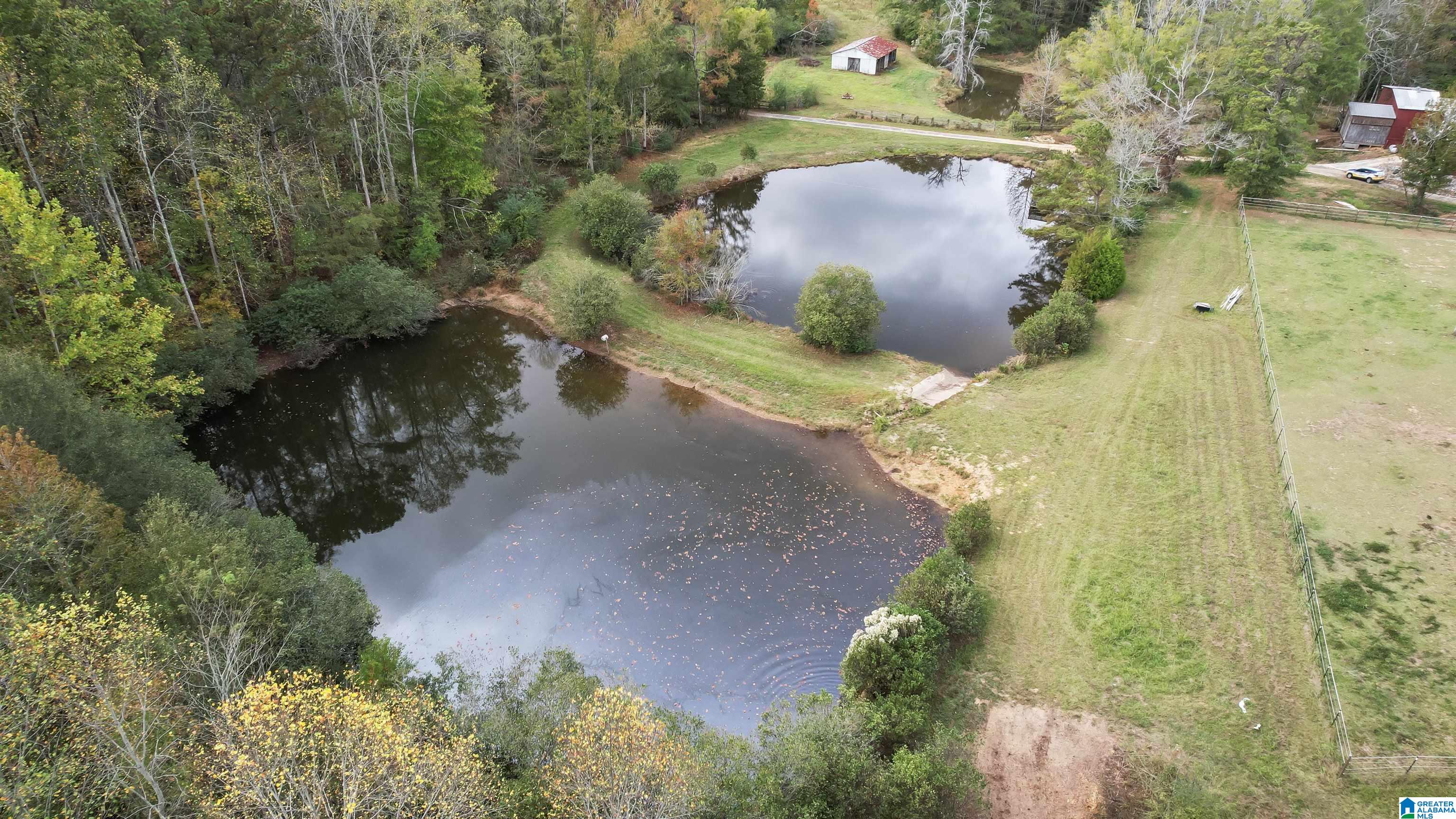 9406 County Road 51 Jemison, AL 35085 - Photo 45 of 58