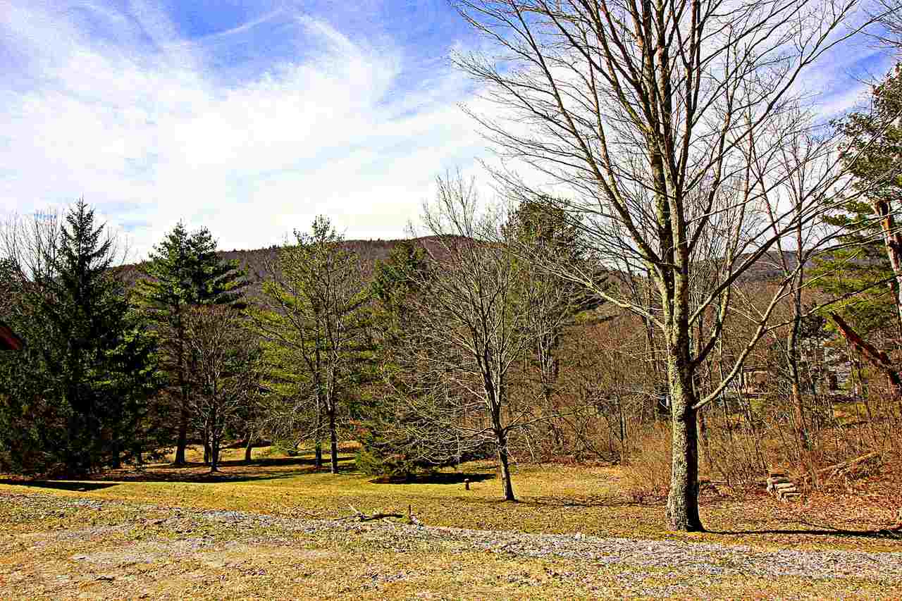 835 Berwal Road Arlington, VT 05250 - Photo 8 of 38 Gallery Image 8