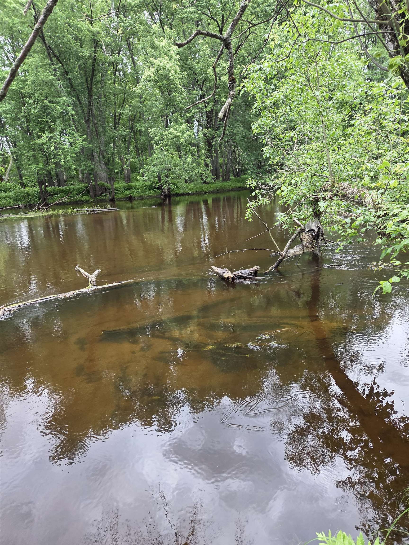 N13300 Pike River Road Wausaukee, WI 54177 - Photo 27 of 39