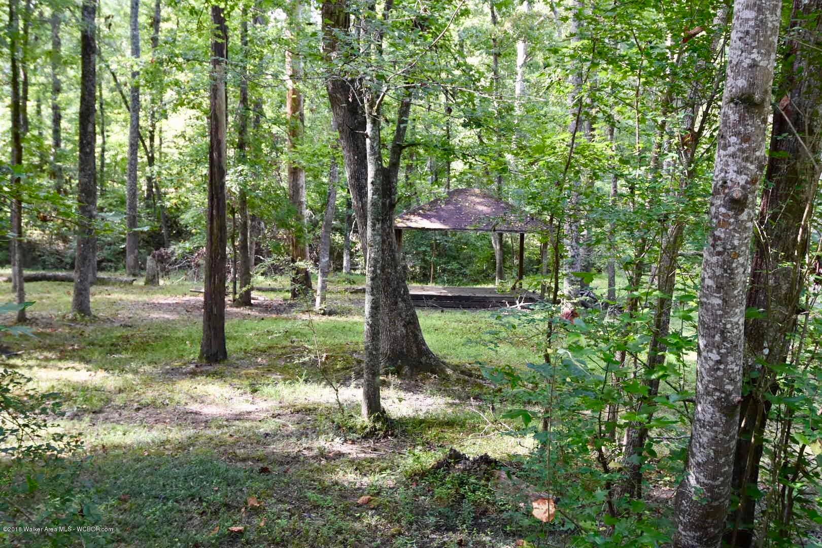 2741 Airport Road Jasper, AL 35504 - Photo 32 of 49 Gallery Image 32