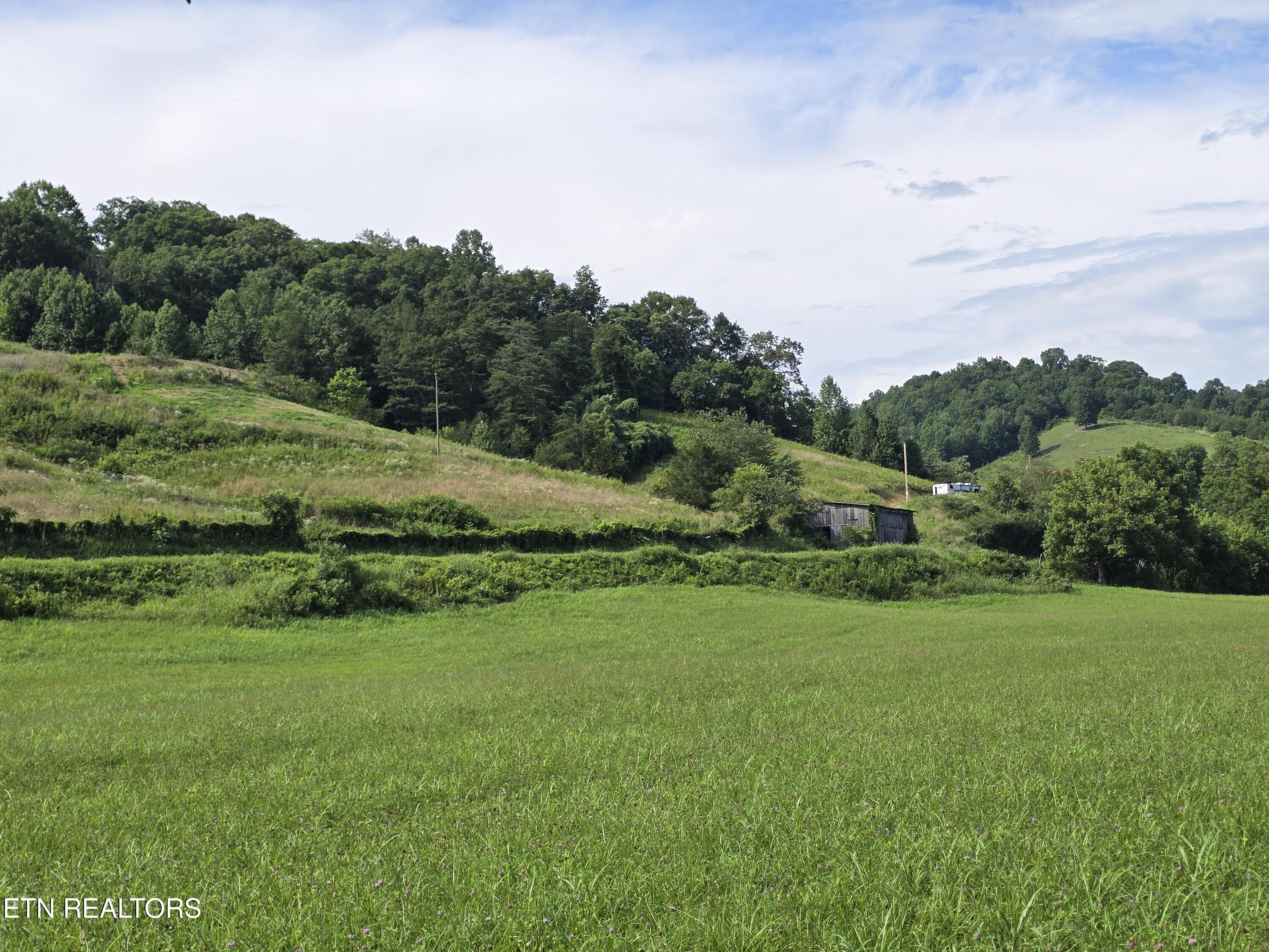 Tbd Caney Valley Road Sneedville, TN 37869 - Photo 10 of 20 20260707_170917