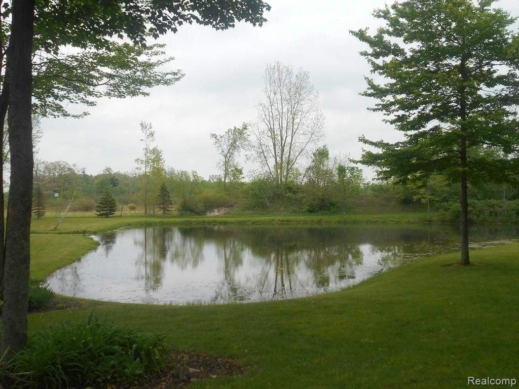 5710 Fish Lake Road North Branch, MI 48461 - Photo 10 of 29 DSCN0635.jpg