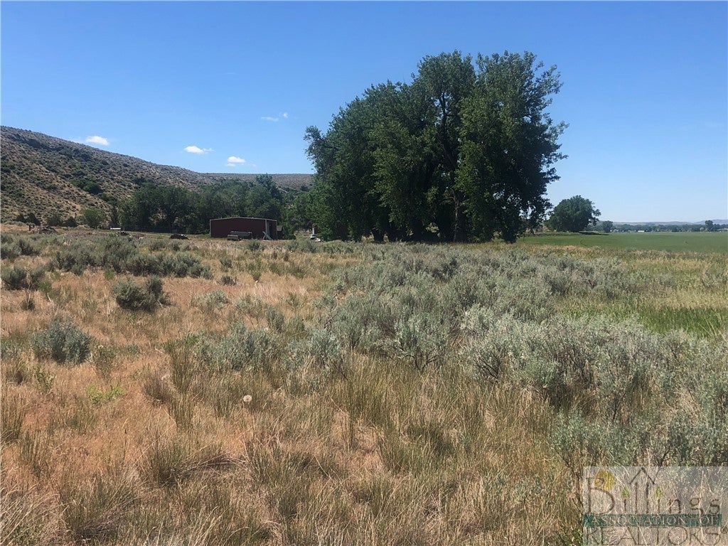 Lot 6 Homestead Road Edgar, MT 59026 - Photo 1 of 1 Gallery Image 1
