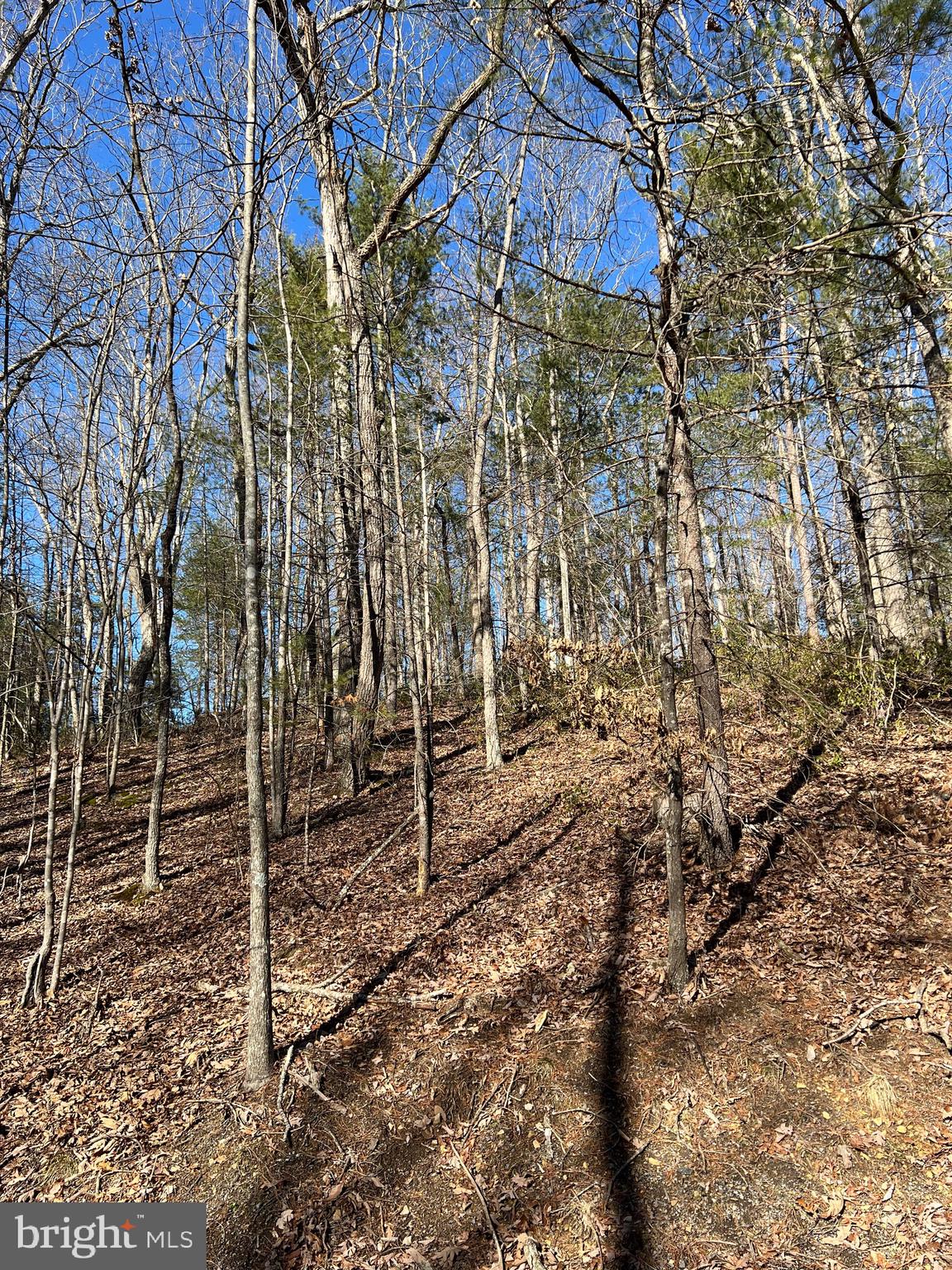 Dooley Drive Basye, VA 22810 - Photo 1 of 2 Beautiful area!