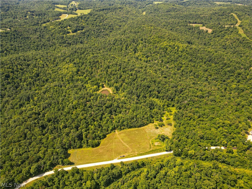 27339 Tabor Ridge Road Caldwell, OH 43724 - Photo 12 of 50