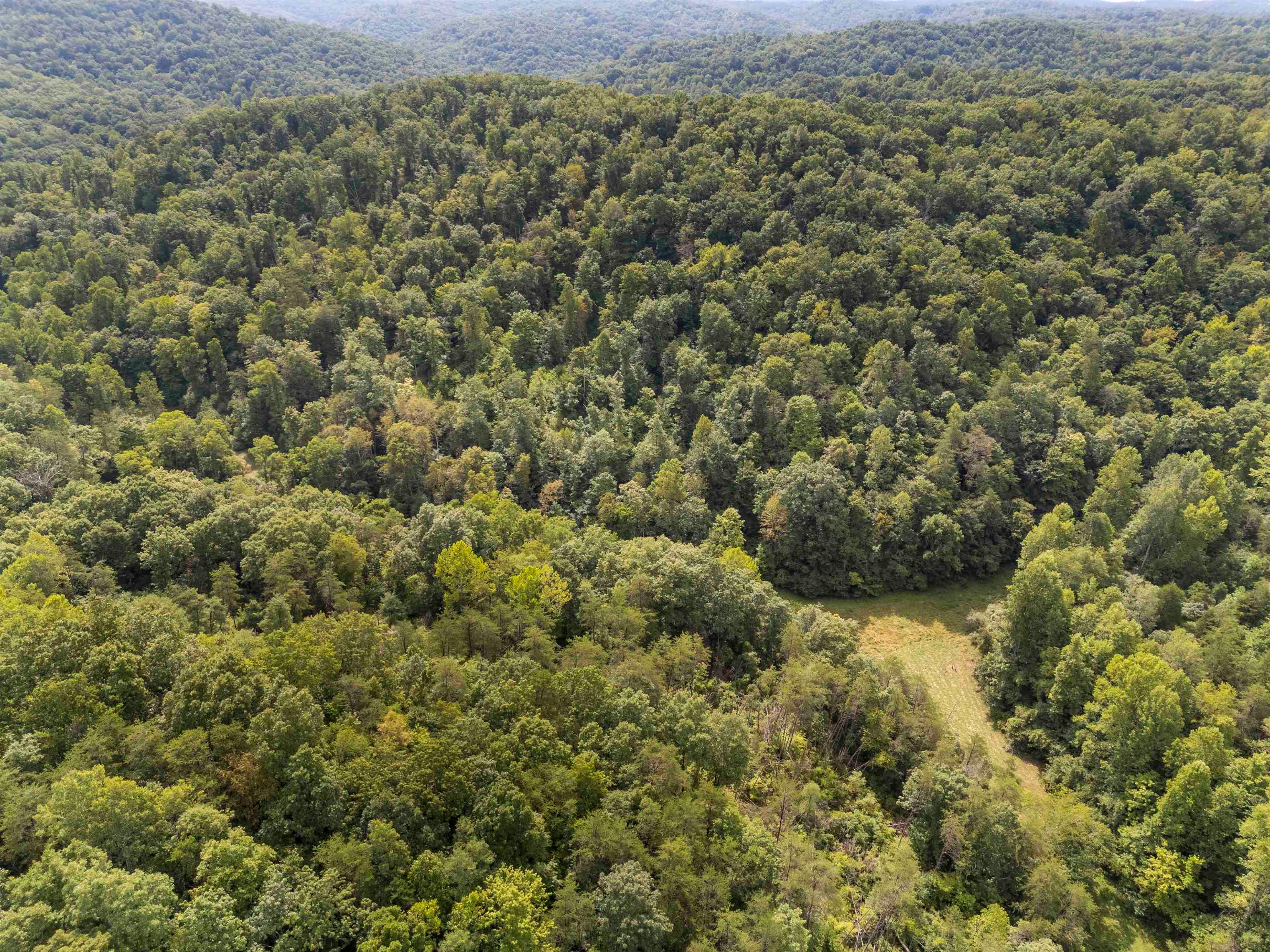 1 Raccoon Creek Road Branchland, WV 25506 - Photo 15 of 16 Gallery Image 15