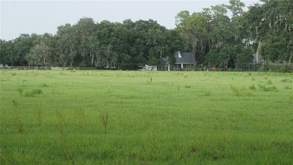 Durant Road Dover, FL 33527 - Photo 6 of 9 a view of a green field