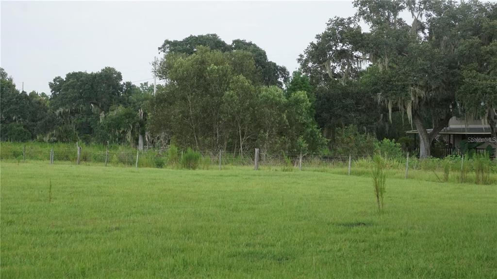 Durant Road Dover, FL 33527 - Photo 8 of 9 a view of a grassy field with trees in the background