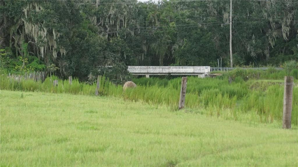 Durant Road Dover, FL 33527 - Photo 9 of 9 a view of a lake view
