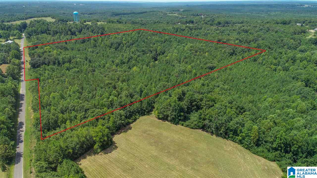 3582 County Road 69, Unit 1 Clanton, AL 35045 - Photo 2 of 8
