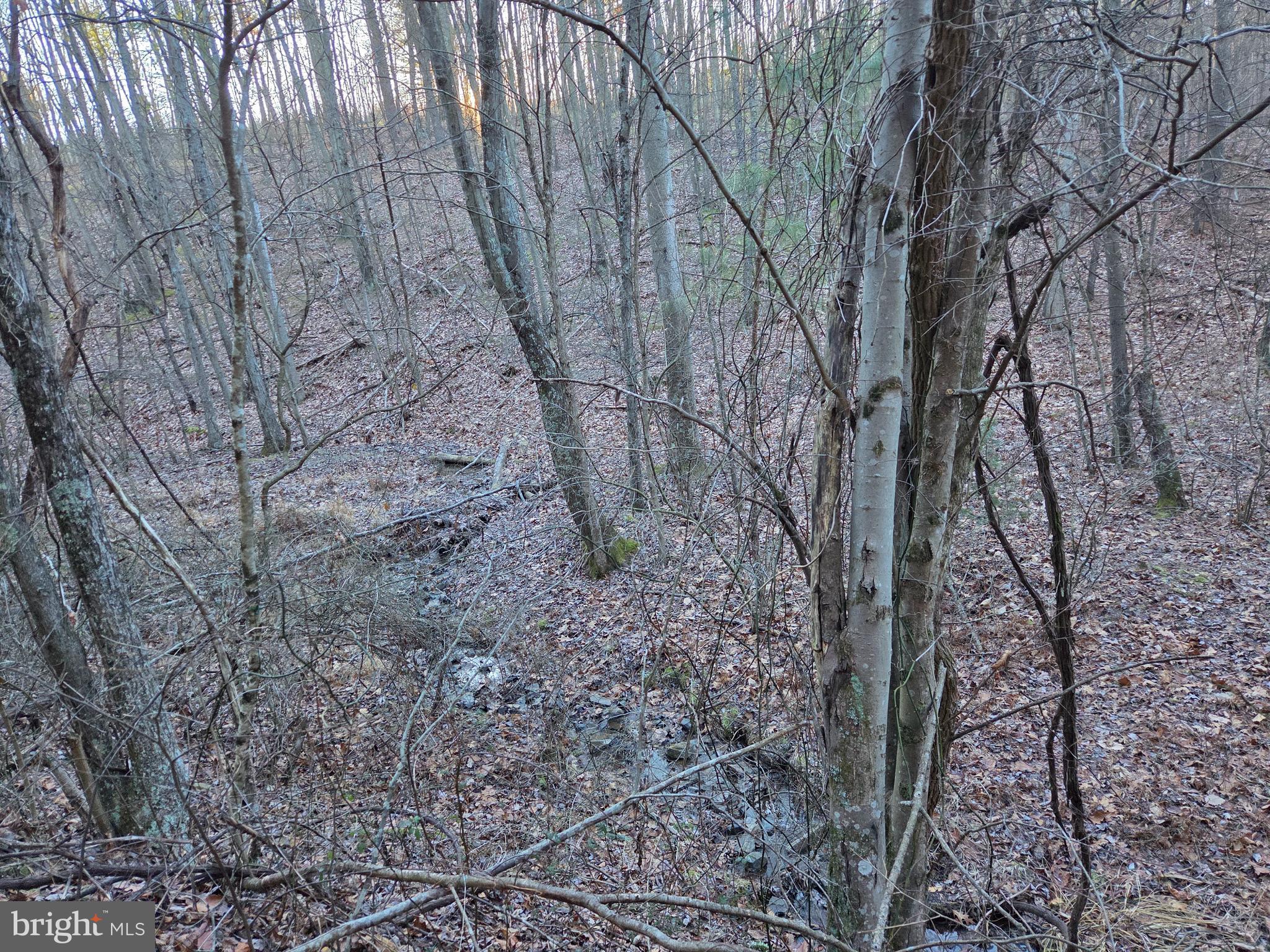 0 Log Cabin Road Fort Littleton, PA 17223 - Photo 15 of 17 Gallery Image 15