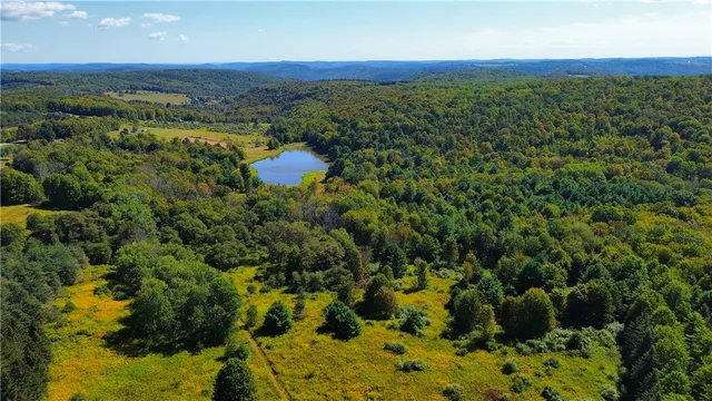 $600,000 | 1290 Ayres Road, Gillett, PA 16925