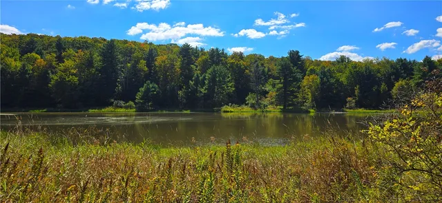 $600,000 | 1290 Ayres Road, Gillett, PA 16925