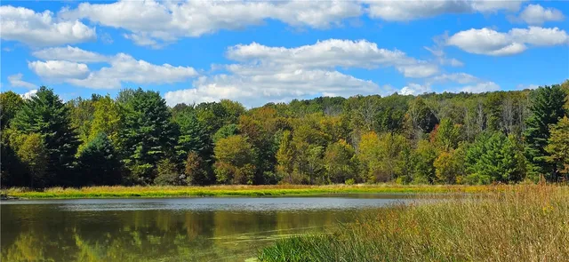 $600,000 | 1290 Ayres Road, Gillett, PA 16925