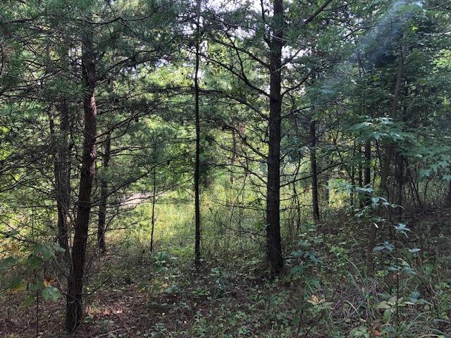 940 Beech Fork Road Clay City, KY 40312 - Photo 5 of 18 Photo 5